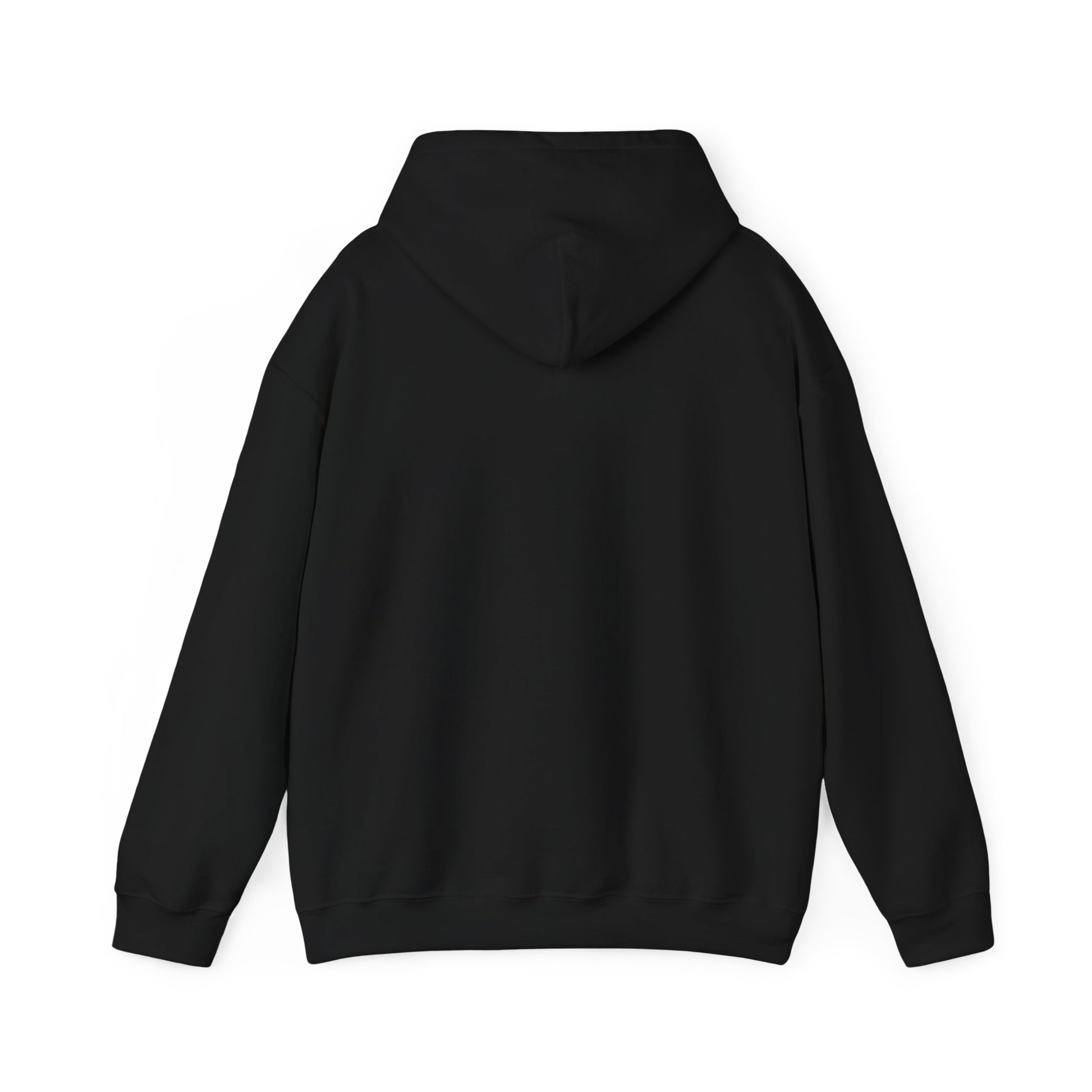 Kawaii Pastel Still Delulu in Japanese Bunny Hoodie Sweater - Pink X Holic