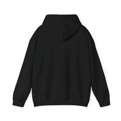 Kawaii Pastel Still Delulu in Japanese Bunny Hoodie Sweater - Pink X Holic