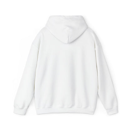Kawaii Pastel Still Delulu in Japanese Bunny Hoodie Sweater - Pink X Holic