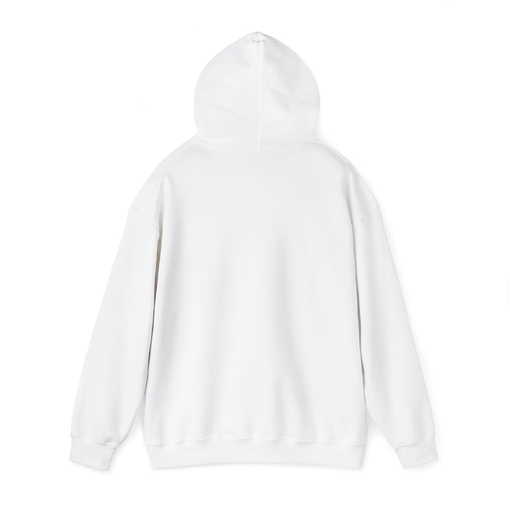 Kawaii Pastel Still Delulu in Japanese Bunny Hoodie Sweater - Pink X Holic