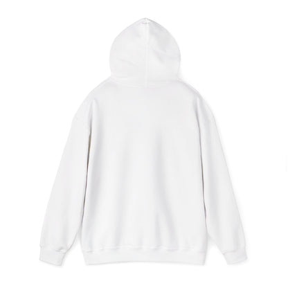 Kawaii Pastel Still Delulu in Japanese Bunny Hoodie Sweater - Pink X Holic
